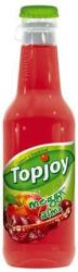 Topjoy Meggy-alma ital 0,25 l