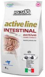 FORZA10 Active Line - Intestinal Active 2x10 kg