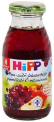 HiPP Bio alma-szőlő-feketeribizli gyümölcslé 0,2 l
