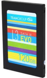 Team Group L3 EVO 120GB SATA3 T253LE120GTC104