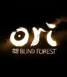 Nordic Games Ori and the Blind Forest [Limited Edition] (PC)