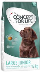 Concept for Life Large Junior 1,5 kg