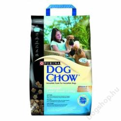 Dog Chow Puppy Large Breed 3x14 kg
