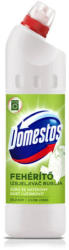 Domestos Whitener Green Garden 750 ml
