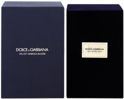Dolce&Gabbana Velvet Mimosa Bloom EDP 150 ml