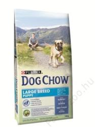 Dog Chow Puppy Large Breed 4x2,5 kg