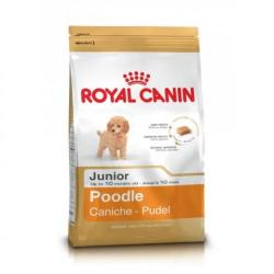 Royal Canin Junior Poodle 3 kg