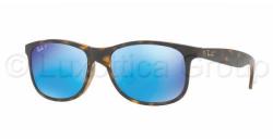 Ray-Ban RB4202 710/Y4