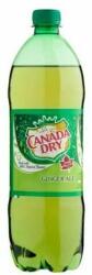 Canada Dry (1l)