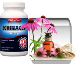 Pharmekal Echinacea (Kasvirág) 400 mg kapszula 100 db