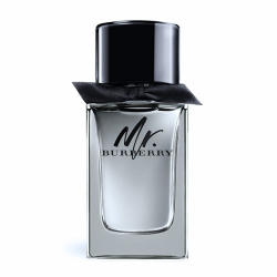 Burberry Mr. Burberry EDT 50 ml