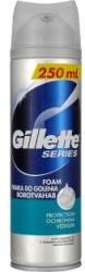 Gillette Series Protection borotvahab (250ml)