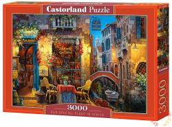 Castorland A különleges helyünk, Velence 3000 db-os (C-300426)