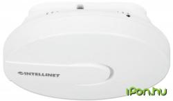 Intellinet 525800
