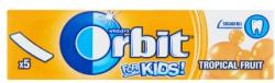 Orbit Kids Tropical Fruit 13g