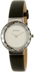 Skagen SKW2428 Ceas
