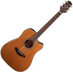 Takamine GD20CE NS