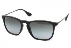 Ray-Ban RB4187 622/8G Слънчеви очила