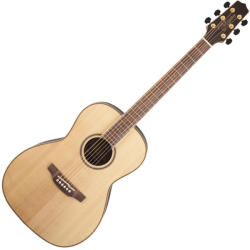 Takamine GY93-NAT