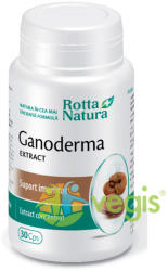 Rotta Natura Ganoderma extract 30 comprimate