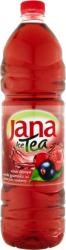 Jana Ice Tea erdei gyümölcs-áfonya 1,5 l