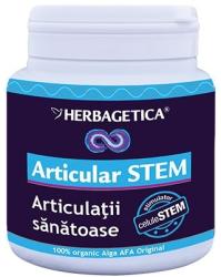 Herbagetica Articular Stem 120 comprimate