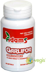 Adams Vision Garlifor 500 mg - Complex usturoi 60 comprimate