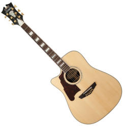 D´Angelico SD-500 Bowery LH