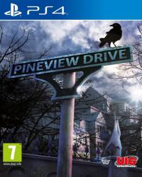 UIG Entertainment Pineview Drive (PS4)