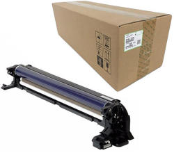 Ricoh D1862239