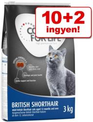 Concept for Life British Shorthair 12 kg