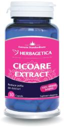 Herbagetica Cicoare Extract 30 comprimate