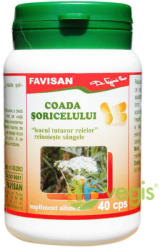 FAVISAN Coada Soricelului 40 comprimate