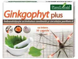 PlantExtrakt Gingkophyt Plus 30 comprimate