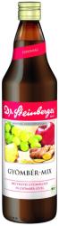 Dr. Steinberger Bio gyömbér-mix 0,75 l
