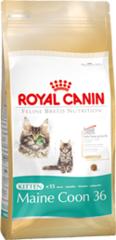 Royal Canin FBN Kitten Maine Coon 36 2x4 kg
