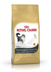 Royal Canin Norwegian Forest Cat 10 kg