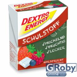 Dextro Energy Schulstoff 50 g