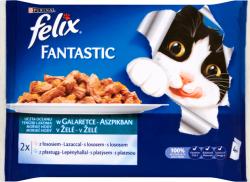 FELIX Fantastic Salmon & Flatfish 40x100 g