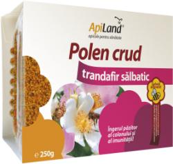 ApiLand Polen crud - Trandafir salbatic 250 g