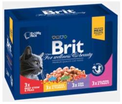 Brit Premium Cat Family Variety 12x100 g