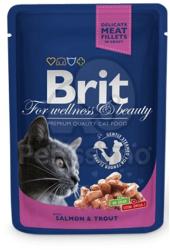 Brit Premium Cat salmon & trout 24x100 g
