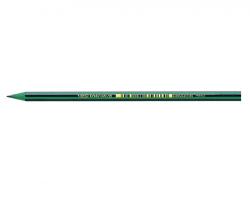 BIC Creion flexibil HB fara radiera Bic Evolution 646 (CREFL5)