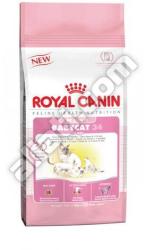 Royal Canin Mother & Babycat 2x400 g