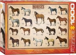 EUROGRAPHICS Horses 1000 db-os (6000-0078)