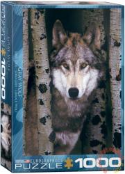 EUROGRAPHICS Gray Wolf 1000 db-os (6000-1244)