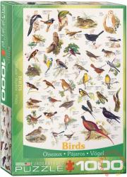 EUROGRAPHICS Birds 1000 db-os (6000-1259)