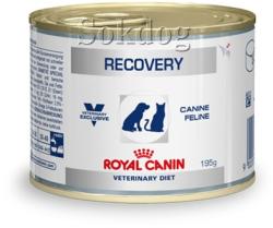 Royal Canin Recovery D/C 6x195 g