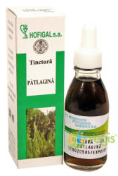 Hofigal Tinctura de Patlagina 50 ml
