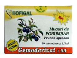 Hofigal Gemoderivat din Muguri de Porumbar 30 monodoze 30x1,5 ml